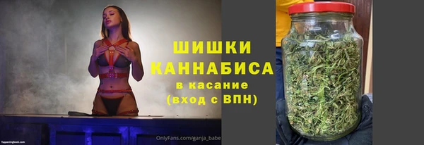 прущая мука Вяземский