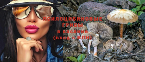 прущая мука Вяземский