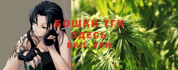 прущая мука Вяземский