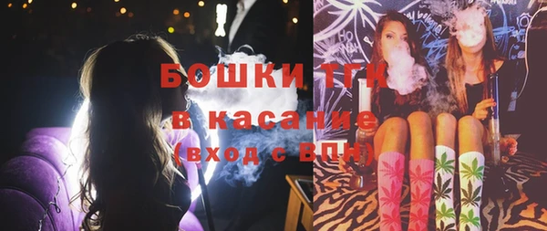 прущая мука Вяземский