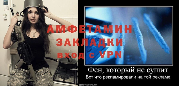 прущая мука Вяземский